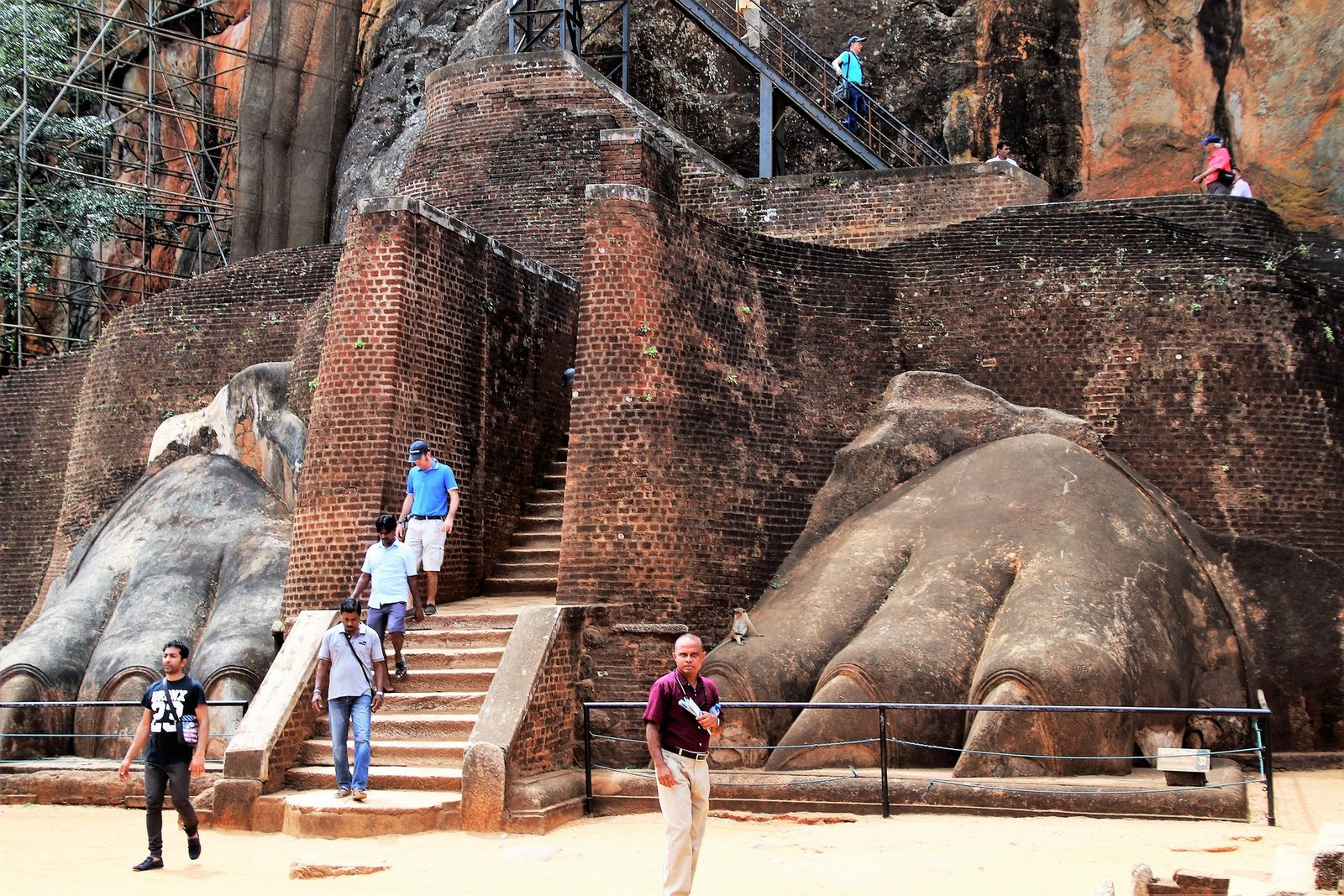 gallery-image